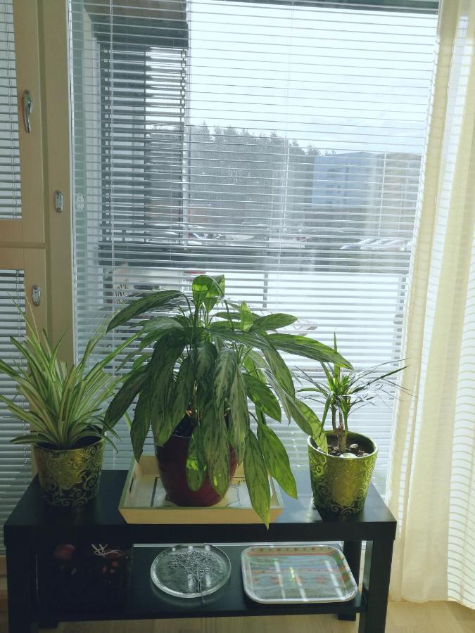 The Wildflower Apartment Турку Екстериор снимка
